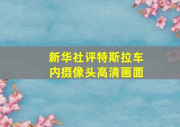 新华社评特斯拉车内摄像头高清画面