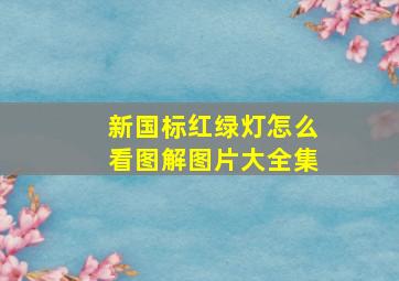 新国标红绿灯怎么看图解图片大全集