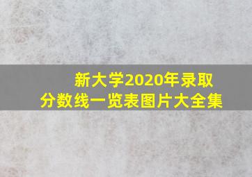 新大学2020年录取分数线一览表图片大全集