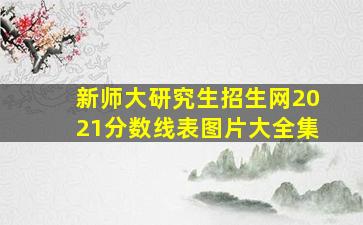 新师大研究生招生网2021分数线表图片大全集