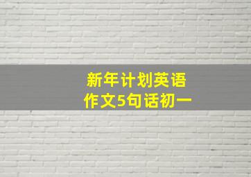 新年计划英语作文5句话初一