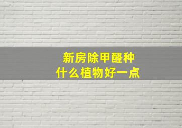 新房除甲醛种什么植物好一点