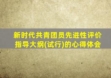 新时代共青团员先进性评价指导大纲(试行)的心得体会