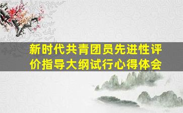 新时代共青团员先进性评价指导大纲试行心得体会