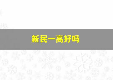 新民一高好吗