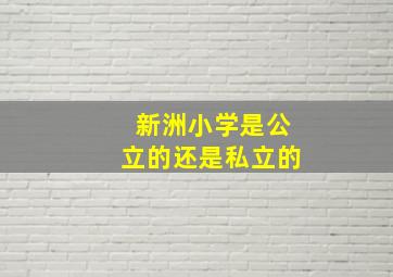 新洲小学是公立的还是私立的