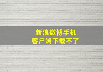 新浪微博手机客户端下载不了