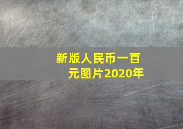 新版人民币一百元图片2020年