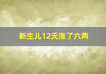 新生儿12天涨了六两