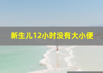 新生儿12小时没有大小便