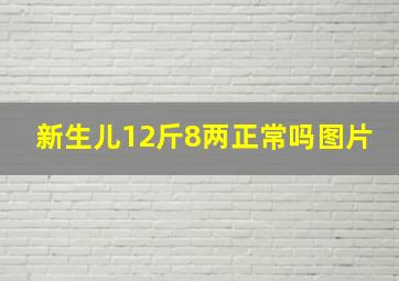 新生儿12斤8两正常吗图片