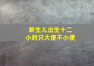 新生儿出生十二小时只大便不小便