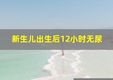 新生儿出生后12小时无尿