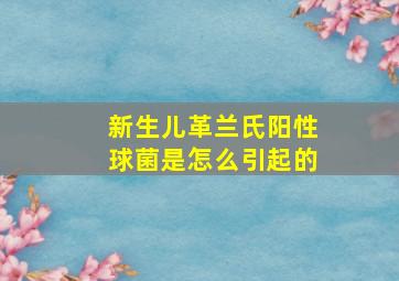 新生儿革兰氏阳性球菌是怎么引起的