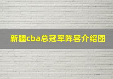 新疆cba总冠军阵容介绍图