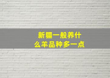 新疆一般养什么羊品种多一点