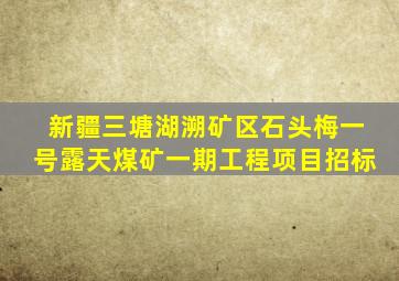 新疆三塘湖溯矿区石头梅一号露天煤矿一期工程项目招标