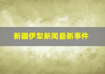 新疆伊犁新闻最新事件