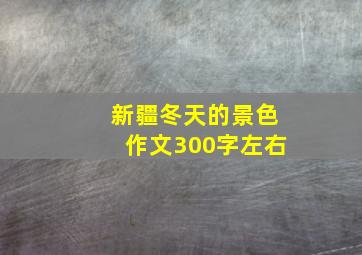 新疆冬天的景色作文300字左右