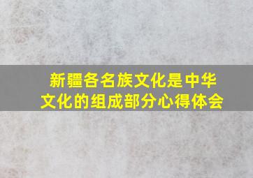 新疆各名族文化是中华文化的组成部分心得体会