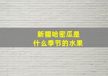 新疆哈密瓜是什么季节的水果