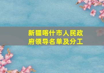 新疆喀什市人民政府领导名单及分工