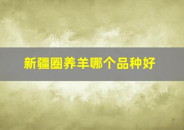 新疆圈养羊哪个品种好