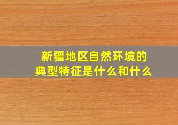 新疆地区自然环境的典型特征是什么和什么