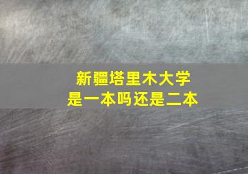 新疆塔里木大学是一本吗还是二本