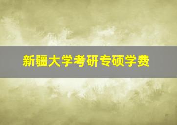 新疆大学考研专硕学费