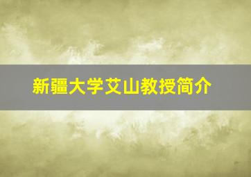 新疆大学艾山教授简介