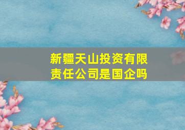 新疆天山投资有限责任公司是国企吗