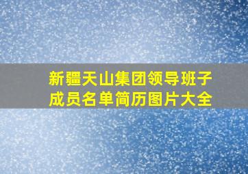 新疆天山集团领导班子成员名单简历图片大全