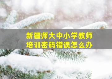 新疆师大中小学教师培训密码错误怎么办