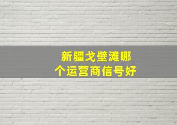 新疆戈壁滩哪个运营商信号好