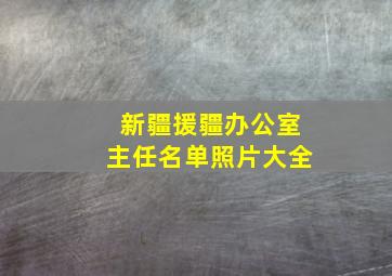 新疆援疆办公室主任名单照片大全