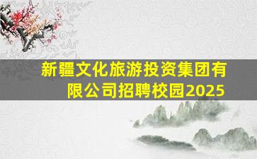 新疆文化旅游投资集团有限公司招聘校园2025