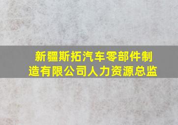 新疆斯拓汽车零部件制造有限公司人力资源总监