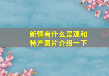 新疆有什么景观和特产图片介绍一下