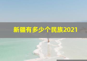 新疆有多少个民族2021