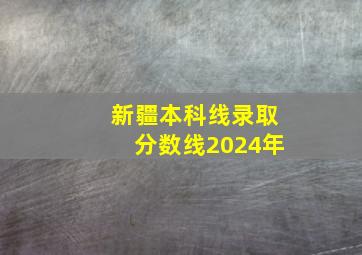 新疆本科线录取分数线2024年