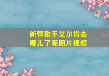 新疆歌手艾尔肯去哪儿了呢图片视频