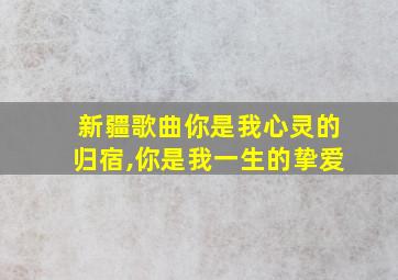 新疆歌曲你是我心灵的归宿,你是我一生的挚爱