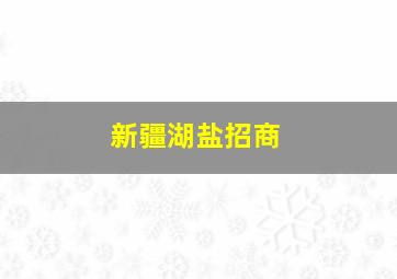 新疆湖盐招商