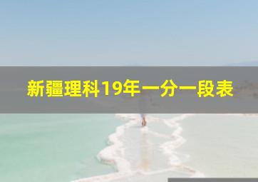 新疆理科19年一分一段表