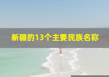 新疆的13个主要民族名称