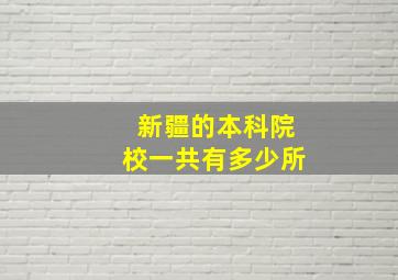 新疆的本科院校一共有多少所