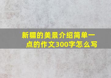 新疆的美景介绍简单一点的作文300字怎么写