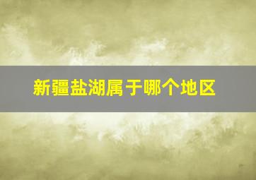 新疆盐湖属于哪个地区