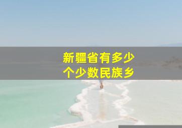 新疆省有多少个少数民族乡